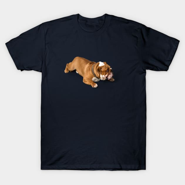 Dog T-Shirt by Ba-Da-Boo